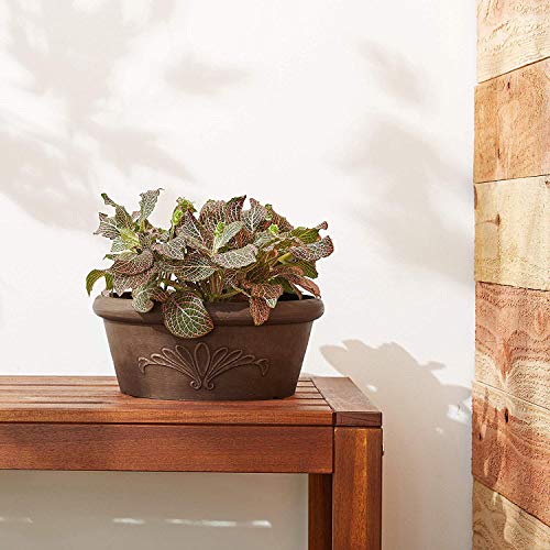 Arcadia Garden Products PSW TA20C Plastic/Stone/Wood Composite Bulb Pan – No Drainage Hole (Drillable), 8"x3", Chocolate - color: Chocolate, size: 8"x3"