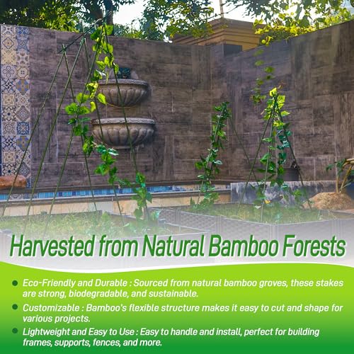 50Pcs 2ft Bamboo Sticks for Indoor Outdoor Plants, 0.29"-0.38" Natural Bamboo Poles, Durable Garden Stakes for Tomatoes, Beans, Flowers and Potted Plants - size: 2FT 50PCS