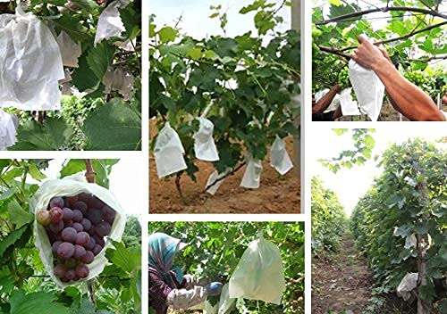 Fruit Protection Paper Bags - 50pcs White Cover Bags, 9.4x12.6in, Protect Fruit Trees, Grapefruit, Orchard, Frost - size: 25x32 cm