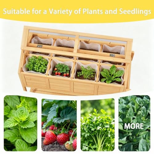 Mini Greenhouse Portable Small Green House Indoor Outdoor
