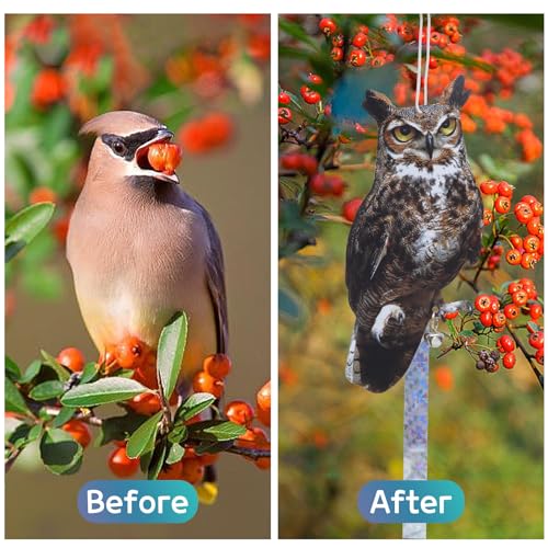 Bird Scarer, 2Pack Fake Owl Hanging Owl to Keep Birds Away Reflective Hanging Bird Decoration to Keep Birds Away from Garden Patio Windows, Mighty Hawks 2pcs - color: Mighty Hawks 2pcs