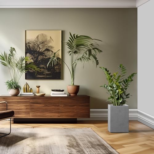 Kante Large Tall Square Pale Gray Concrete Planter 19" H, Outdoor - color: Natural Concrete, size: 18.5" H