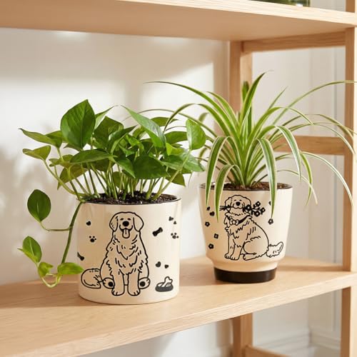 STHIE Ceramic Planters with Drainage Holes, 5 Inch Pots for Indoor Plants - color: Tr-goldflower04