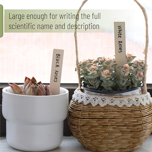 Mr. Pen- Wooden Plant Labels with Marker, 100 Pcs, 6“, Wooden Plant Markers