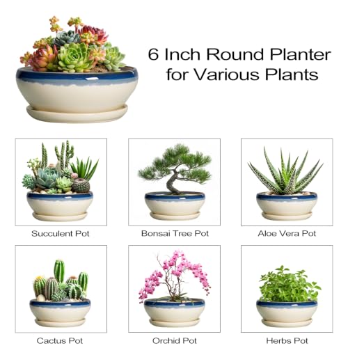 SQOWL Succulent Pots 6 Inch, Ceramic Bonsai Pots with Saucer, Blue-Beige - color: Blue-beige, size: 6 Inch