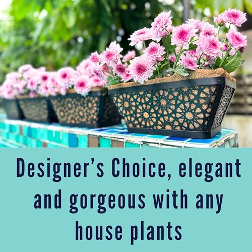 LaLaGreen Window Planter Boxes for Outdoor Plants (12 Inch, 2 Pack,) Small and Cute Black Metal Fence Hanging Planters Flower Basket Pot with Coco Liner Trendy Horse Troughs Balcony Patio Porch Rail - size: 12" (30cm) x 2 pack
