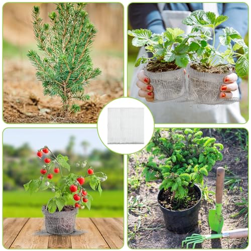 8 Pcs Gopher Baskets 15 Gallon Root Guard Proof Stainless Wire Steel Trap - size: 24"X24"-8 Pack