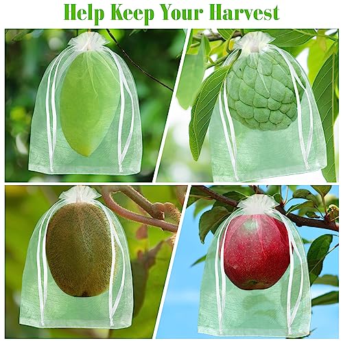 Morcheiong 60pcs Reusable Netting Mesh Bags - 6" x 8", Garden Fruit Protection with Drawstring (White) (Pack of 2) - color: White, size: 60Pcs 6" x 8" (Pack of 2)