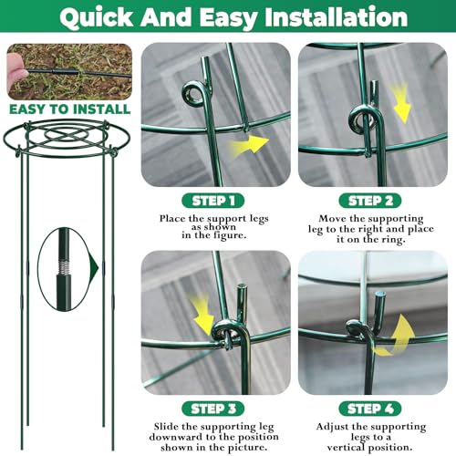 QwayHome 6Pack Peony Cages and Supports 33''H x 13''D Grow Through Large Plant Support, Adjustable High, Heavy Duty, Rust-Resistant, Round, Flower Support Cage Ring for Rose Tomato Hydrangea - size: 6Pack- 13"D x 33"H