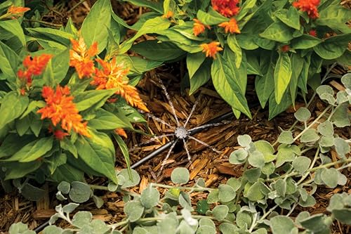 Rain Bird ILB4PKSX Drip Stake, Full Circle, 4-Pack