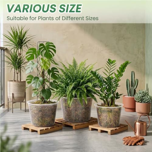 4 Sets 8 Inch Large Clear Nursery Pots with Drainage Holes. - color: 8 Inch
