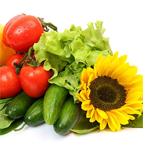 AeroGarden Grow Anything Seed Pod Kit (12-pod) - size: 12 Pods