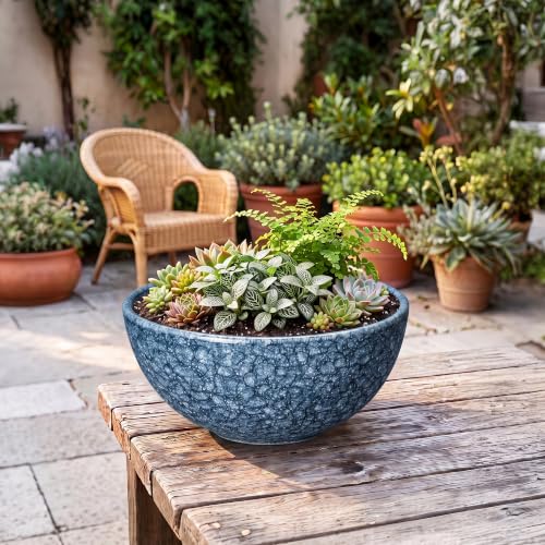 Bowl Planter, 12 Inch Ceramic Succulent Planters, Scale Blue - color: Scale Blue-1, size: 12 Inch