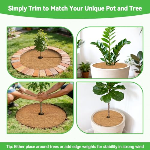 ZeeDix 24 Inch Coconut Fiber Tree Ring Mulch Mat, 6 Pack Tree Mulch Ring - color: 6 Pack, size: 24 Inch