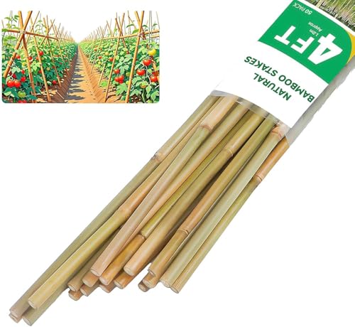 Natural Bamboo Plant Stake, (4FT 50Pcs) Sturdy Bamboo Poles, Durable Plant Bamboo Stake, Garden Climbing Plant Bracket. - size: 4ft-50pcs