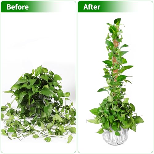 2 Pack 63'' Moss Pole for Monstera, Bendable Coco Coir Plant Support Stakes - size: 2 Pack(63-Inch)
