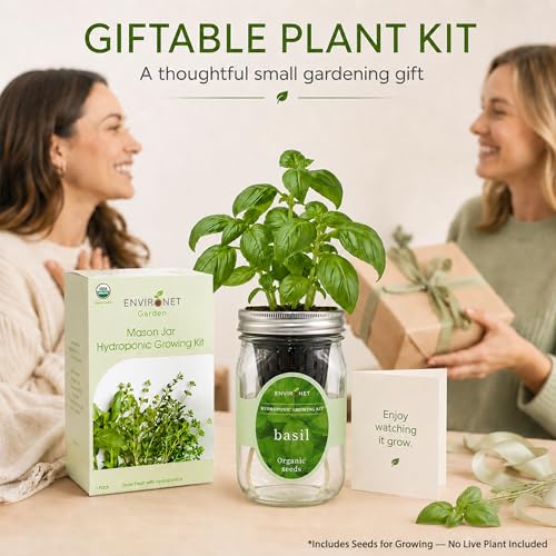 Hydroponic Growing Kit, Self-Watering Mason Jar Herb Garden Starter Kit Indoor, Windowsill Herb Garden, Grow Your Own Herbs from Organic Seeds (Basil) - color: Basil