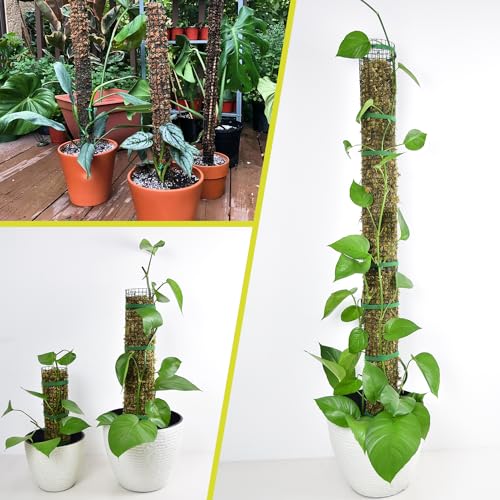 4 Pack Metal Moss Pole, 40" Large Moss Poles for Plants Monstera, Stackable Sphagnum Moss Pole for Plants Work with Sphagnum Moss(4 Pack 40") - color: 4 Pack 40"