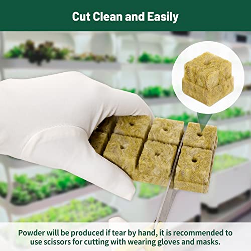 1" Rockwool Cubes for Hydroponics - (200 Plugs in Total) 4 Sheets Rockwool Grow Cubes for Rooting, Cuttings, Clone Plants, Starting Seeds, Ideal Rockwool for Hydroponic Growing - size: 200 Plugs