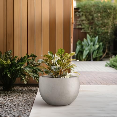 Kante Small Round Bowl Weathered Concrete Planter 11.8" Dia, Outdoor - color: Weathered Concrete, size: 11.8" d