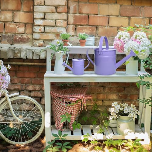 Small Metal Watering Can Set, Pink, 1.2L and 0.23L Garden Cans with Long Spout, Indoor Outdoor Plant Care (Purple) - color: Purple