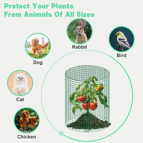 4 Sets 13"x 16" Wire Plant Protector from Animals, Plant Protector Cages - color: Green-4pcs