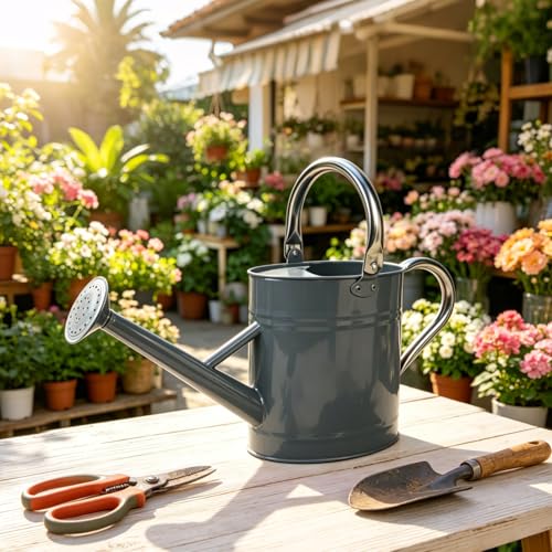 1 Gallon Watering Can for Outdoor&Indoor Plants,Gray - color: Gray
