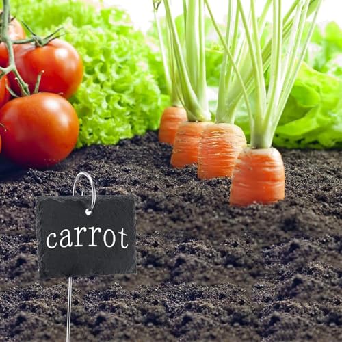 20Pcs Silver Planter Plant Label Hooks Garden Markers Stake Label Holder Hanger Garden Plant Sign Stake Rustproof Deformed Sign Hooks Container Accessories (20cm)
