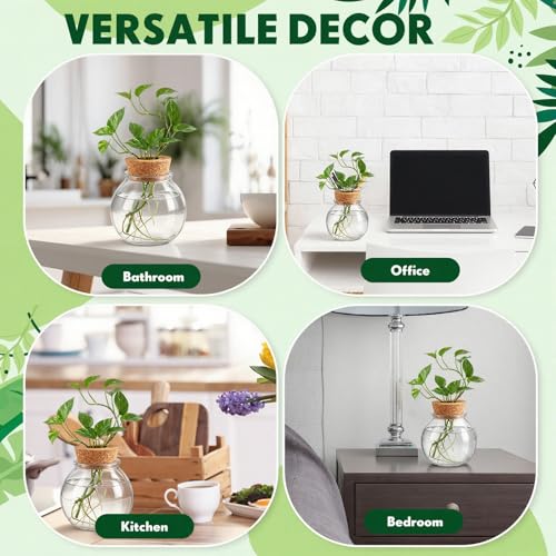 12 Pack Glass Plant Propagation Stations, Spherical - style: Spherical