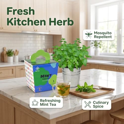 Mint Grow Kit - Indoor Herb Garden Kit with Planter, DIY Kitchen Herb Planting Kit, Grow Fresh Mint at Home for Tea, Drinks & Cooking, Beginner Friendly Gardening Gift