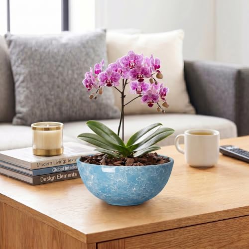 Succulent Pots Ceramic, 8 Inch Bonsai Tree Pots, Droplet Blue - color: Droplet Blue-1, size: 8 Inch