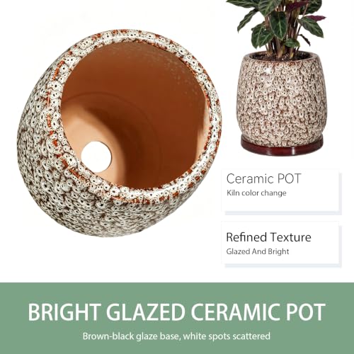 10.3 Inch Ceramic Glaze Plant Pot with Saucer, Flower Pots with Drainage Hole Mesh Net (Spot White) - color: Spot White