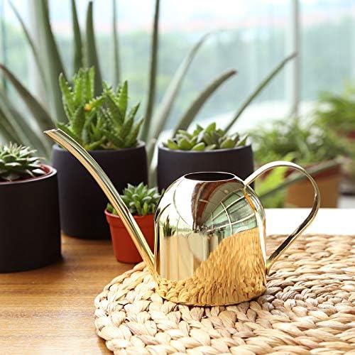Small Watering Can for Indoor Plants, 15oz/450ml Stainless Steel Long Spout Watering Can for Succulents, Herbs (Gold) - color: Gold