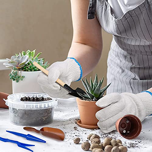 Succulent Tools, Mini Garden Tool Set, Transplanting Tools Set, Succulent Care kit for Succulent Miniature Gardening Plant, Multi, 13 Pcs - style: Green
