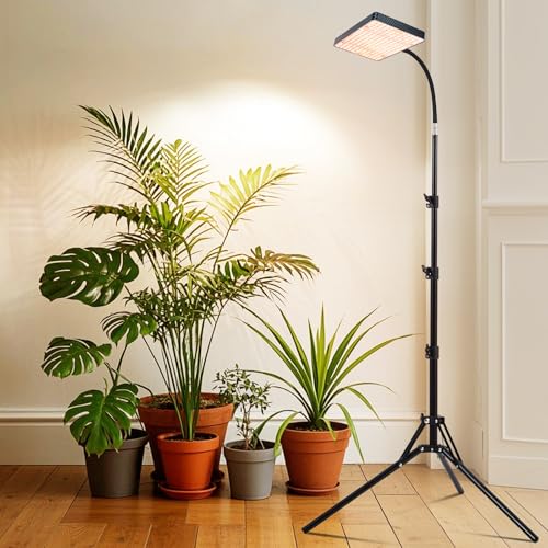 Standing Grow Light for Indoor Plants, Monstera, Bonsai Trees - size: 1-Head-Stand