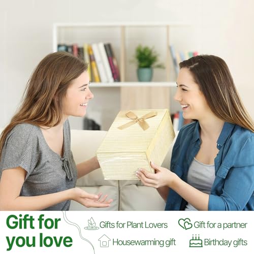 Plant Propagation Stations Heart Plant Terrarium Kit - color: Gray