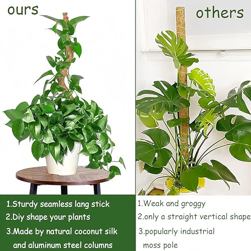 Moss Pole,28'' Moss Pole Monstera Plant Support. (2×28 Inch) - color: 2×28 Inch