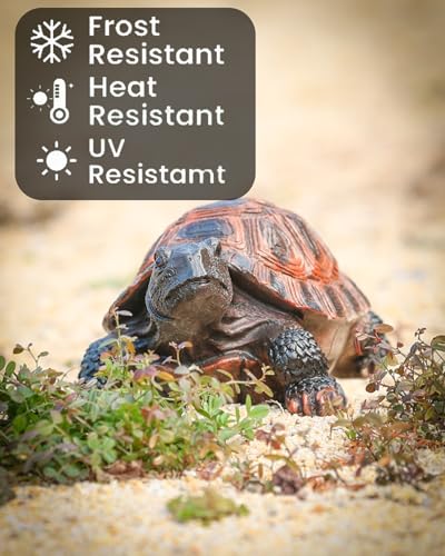 Turtle Statue, Resin Garden Sculpture Indoor/Outdoor Yard Lawn Ornament,Home Decor (Medium) - size: Medium