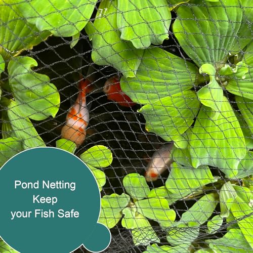 Bird Netting for Garden Protection, Anti Bird Mesh Garden Netting - size: 6.5FT x 32.5 FT