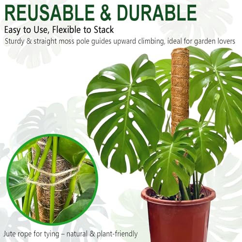 Soupiar 2 Pack 22 Inch Stackable Moss Pole - Thick & Sturdy Natural Coir Totem Plant Support & Garden Stakes for Monstera & Pothos, Indoor Climbing Vining Houseplants, 38" H Max - color: 2 × 22 Inch