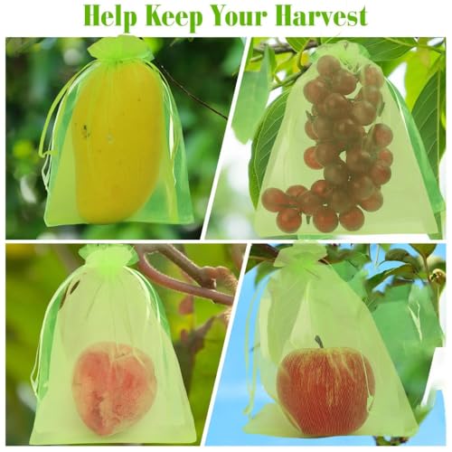 10Pcs Fruit Protection Bags Reusable Insect Proof Green Netting Cover Drawstring Bags Fruit Tree Plants Garden Supplies (Green,20x30cm) - color: Green,20x30cm