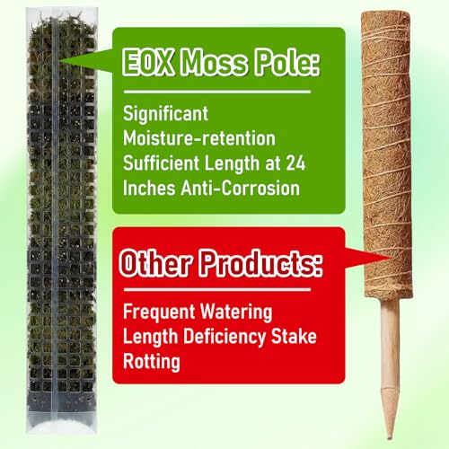 6 Pcs 24 Inch Plastic Moss Pole for Plants Monstera, D Shaped Moss Pole, Plant Poles for Climbing Plants, Plant Support for Indoor Plant Work with Sphagnum