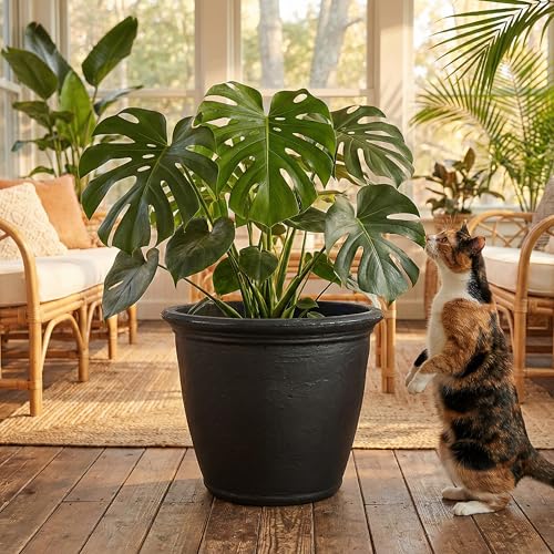 Sunnydaze Anjelica 24'' Large Plastic Planter Pot for Plants, Black - color: Matte Black, size: 24 in