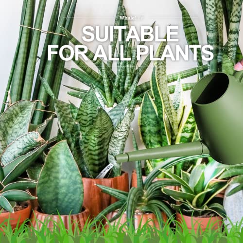 Indoor House Plant Watering Can Small Long Spout Water Pot 2L/67oz (Green) - color: Green