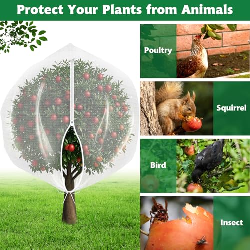 OZMI 4 Pack Fruit Tree Blueberry Bush Netting Cover, 4.6Ft x 5.9Ft Reusable Bird Netting for Garden Protection with Zipper & Drawstring, Shrubs Tomato Strawberry Plant Bushes Protector - size: 4.6 x 5.9 FT