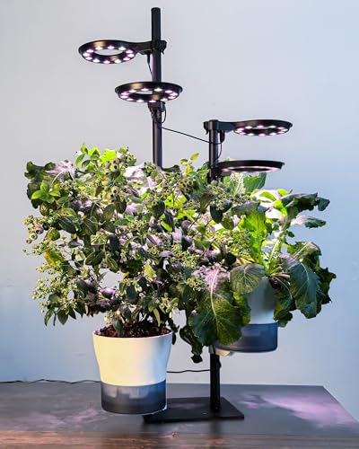 Indoor Plant Hydroponics Growing System Tower Kit with Grow Light (Large) - size: 20 inch