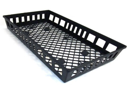 1020 Daisy Trays, 10 each