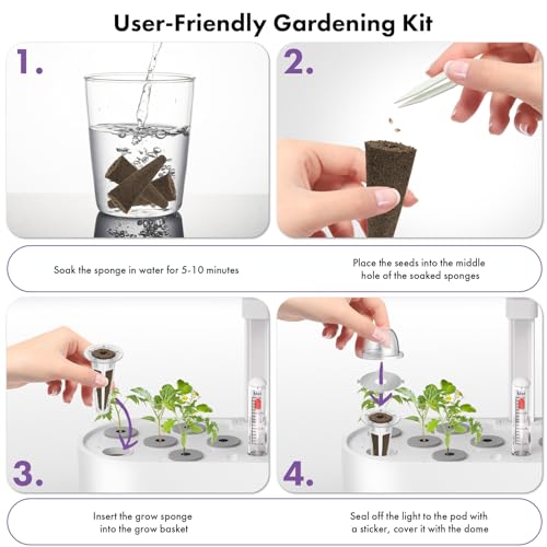 LYKOCLEAN Salad Romaine Lettuce Pods for AeroGarden, Ahopegarden, iDOO Hydroponics Growing System, 350 Seeds+ Including American Fast Lettuce, Paris Island Cos Lettuce, Buttercrunch Lettuce(7-Pods) - color: Lettuce, size: 7pods