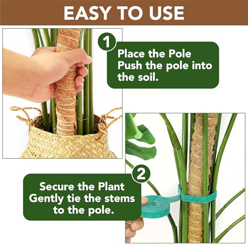 UNCO- Bendable Moss Pole Monstera Plant Support, 48 Inch, 2 Pack, 10 Feet Plant Ties, Moss Poles for Climbing Plants and Monstera Trellis