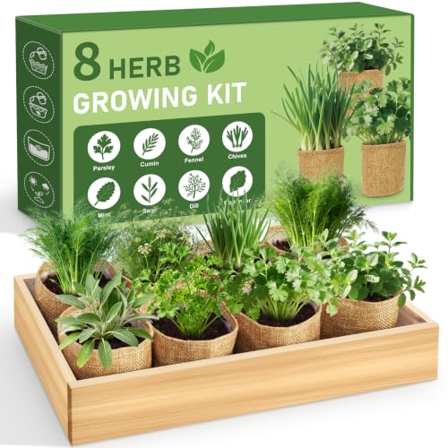 LUOJIBIE Indoor Herb Garden Kit, Complete Herb Starter Growing Kit with Seeds & Tools, Christmas Birthday Gifts for Women Men Mom Dad, House Warming New Home Kitchen Gifts for Girls Boys Plant Lovers